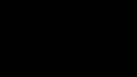 treeguyroc online show from March 2026 02:40:02 AM