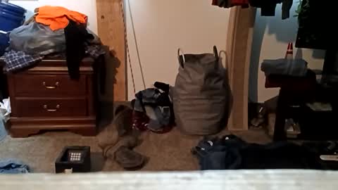 Snapshot of trickywalker8 chatting on November 2025 11:36:02 PM trickywalker8 online show from November 2025 11:36:02 PM