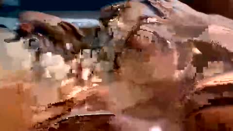 trigood online show from February 2025 02:01:01 AM