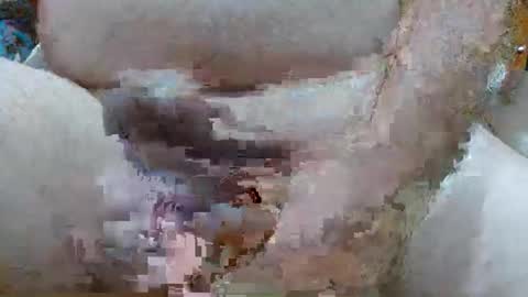 troy1965 online show from February 2026 04:32:01 AM