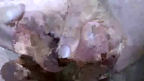 troy1965 online show from April 2026 05:03:01 AM