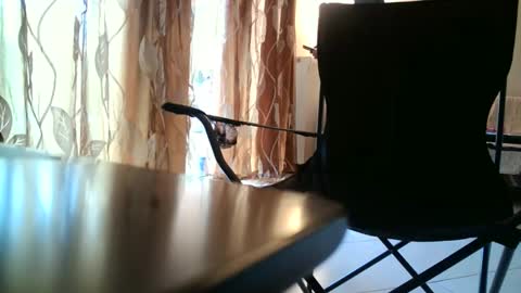 Snapshot of truble_again chatting on May 2026 05:46:02 AM truble_again online show from May 2026 05:46:02 AM