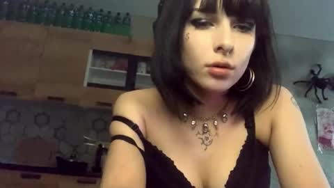 Poly online show from February 2026 01:53:02 PM