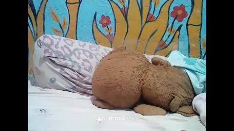 ts_cuumlover online show from December 2024 01:14:01 AM