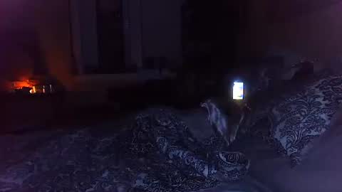 Amber White online show from October 2025 03:20:02 AM