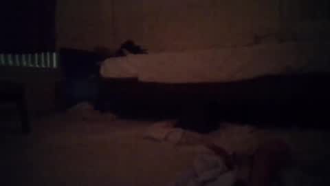 tsgoddessdani online show from May 2026 08:34:01 AM