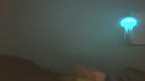 Snapshot of ttbove44 chatting on November 2025 08:58:02 AM ttbove44 online show from November 2025 08:58:02 AM