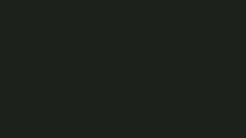 Portuga online show from February 2026 06:44:02 PM