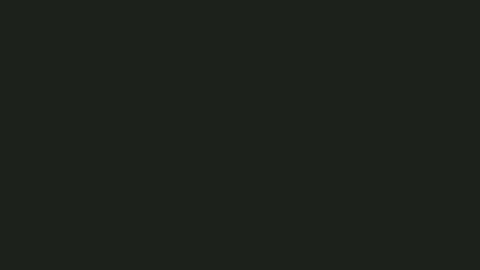 Portuga online show from February 2026 09:35:02 AM