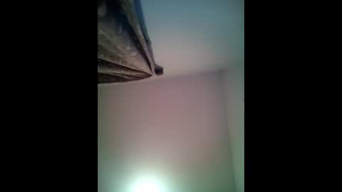 twest84 online show from February 2025 07:17:02 AM