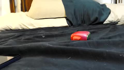 twinkkluvva online show from February 2026 05:52:01 PM