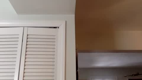 Snapshot of tylerdurden256 chatting on February 2025 05:54:02 PM Tyler Durden online show from February 2025 05:54:02 PM