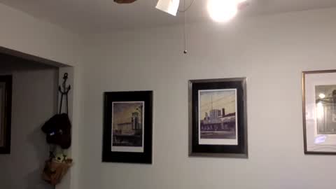 Snapshot of tylerdurden256 chatting on February 2025 02:07:01 AM Tyler Durden online show from February 2025 02:07:01 AM