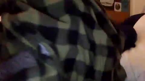 Snapshot of tylerdurden256 chatting on February 2025 01:38:02 PM Tyler Durden online show from February 2025 01:38:02 PM