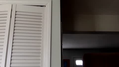 Snapshot of tylerdurden256 chatting on March 2025 07:45:02 PM Tyler Durden online show from March 2025 07:45:02 PM