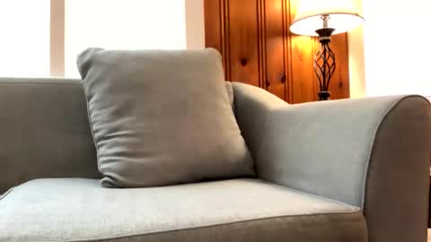 Tyler Sands online show from February 2025 01:42:02 PM