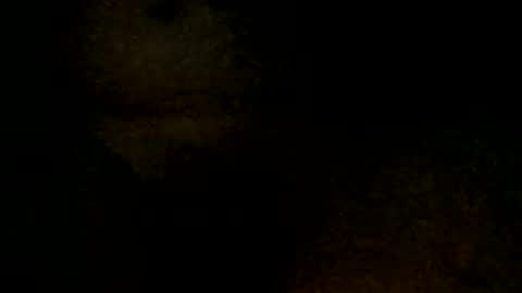 Snapshot of tystickk66 chatting on January 2025 09:52:01 AM tystickk66 online show from January 2025 09:52:01 AM