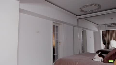 Silvia online show from December 2024 05:42:01 PM