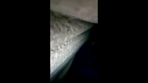 urdleqfaeaxf online show from April 2026 04:12:02 PM