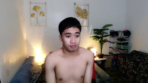 Bib online show from December 2025 05:19:02 PM