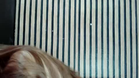 Jane online show from February 2025 12:45:02 PM