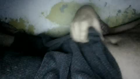 urwelkum online show from August 2026 04:56:02 AM
