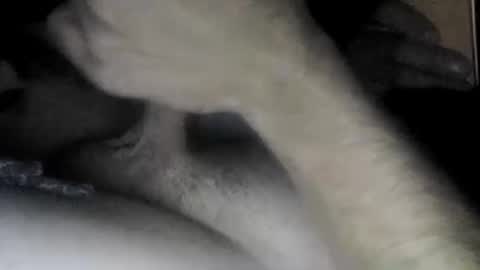 Snapshot of useabitchplz chatting on April 2026 10:06:01 AM Slave bitch online show from April 2026 10:06:01 AM