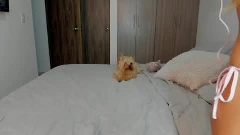 Angela online show from April 2026 11:18:02 PM