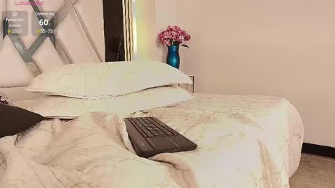 Snapshot of valery_wang chatting on March 2025 02:40:01 PM Val online show from March 2025 02:40:01 PM