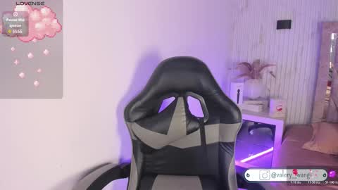 Snapshot of valery_wang chatting on November 2025 12:04:02 PM Val online show from November 2025 12:04:02 PM