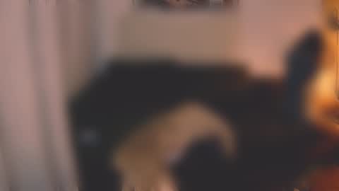 Snapshot of valorant_girl chatting on December 2024 03:08:01 PM Little Devil online show from December 2024 03:08:01 PM