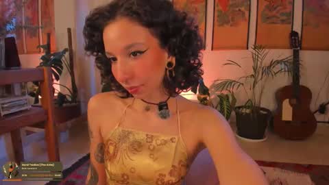      online show from November 2025 08:13:02 PM