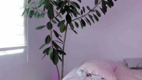 Snapshot of vandalovee chatting on July 2026 04:02:01 PM Babi Alu online show from July 2026 04:02:01 PM