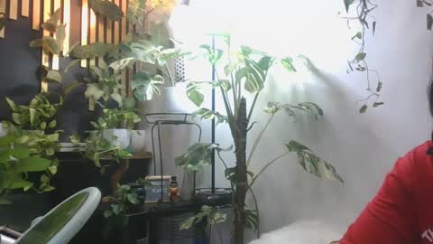 vanessa__foxx online show from December 2024 04:44:02 PM