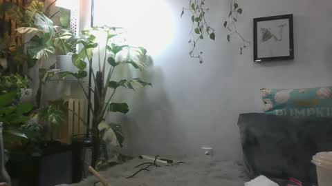 vanessa__foxx online show from December 2024 06:32:02 AM