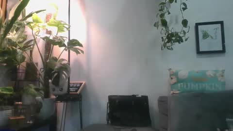 vanessa__foxx online show from February 2025 12:36:01 PM