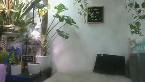 vanessa__foxx online show from March 2025 04:22:02 PM