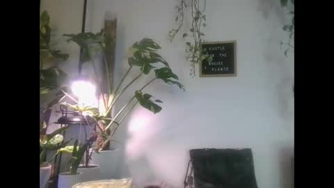 vanessa__foxx online show from March 2025 04:30:02 AM