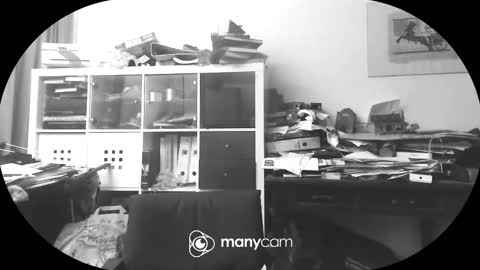 Snapshot of vejun2025 chatting on September 2025 07:47:01 PM vejun2025 online show from September 2025 07:47:01 PM