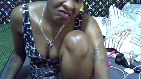 velvet online show from July 2026 11:27:01 AM