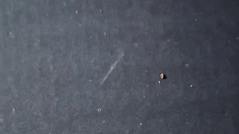 Snapshot of velvetsolez chatting on March 2026 09:29:01 PM velvetsolez online show from March 2026 09:29:01 PM