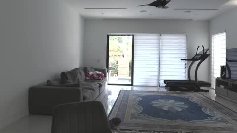 VelvetTGirl online show from February 2026 03:24:02 PM