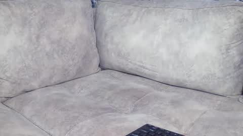 Snapshot of vera_bliss21 chatting on June 2026 08:53:01 AM vera_bliss21 online show from June 2026 08:53:01 AM