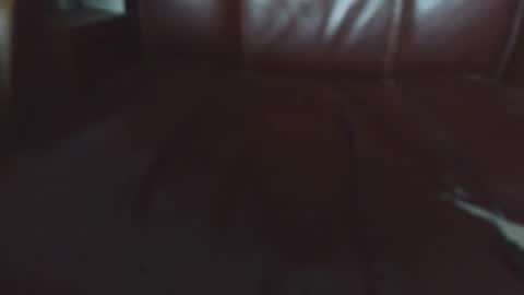 Erik online show from April 2026 06:16:02 AM