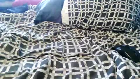 Vexnew online show from June 2026 05:17:02 PM