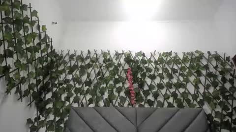 Frida online show from November 2025 12:00:01 AM