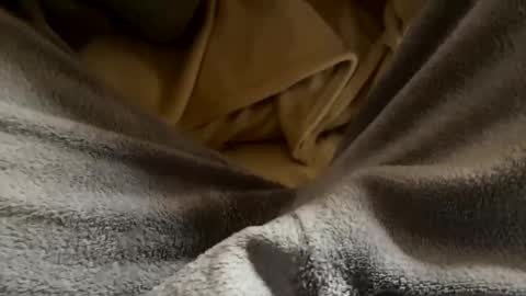 vicio online show from January 2026 04:43:02 PM