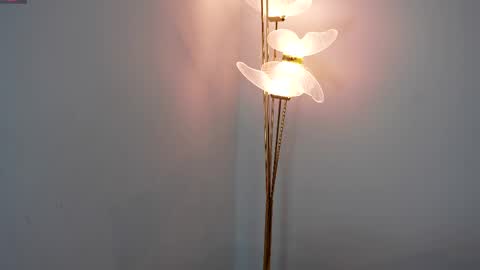 Sophie and Stan  online show from April 2026 06:19:01 AM