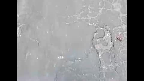 viciouzz1 online show from November 2025 07:02:01 PM