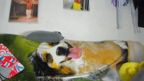 vicky manuela online show from February 2025 11:30:01 PM